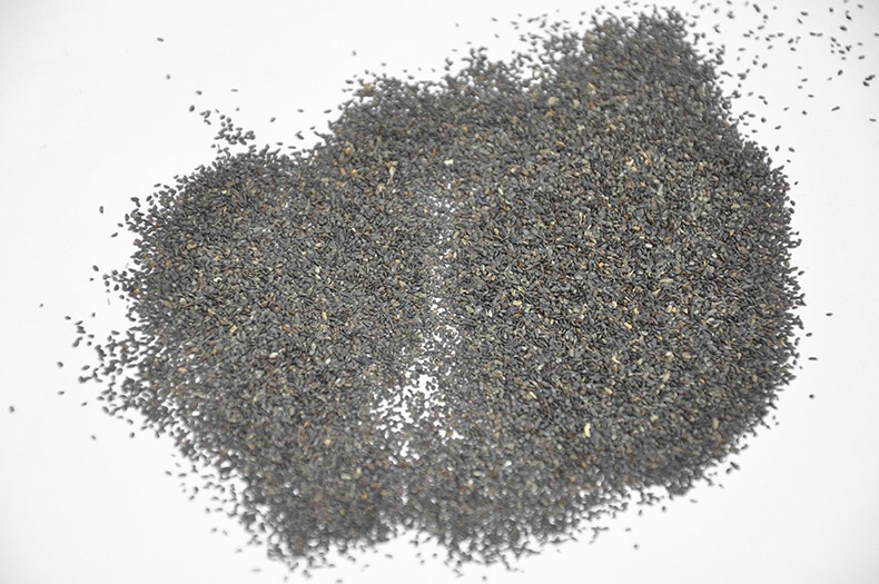 微观视角下的比芝麻还小的黑色籽对比图