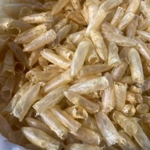 黄花鱼胶筒咸水鱼胶花胶批发零售