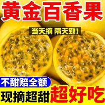 百香果#黄金百香果