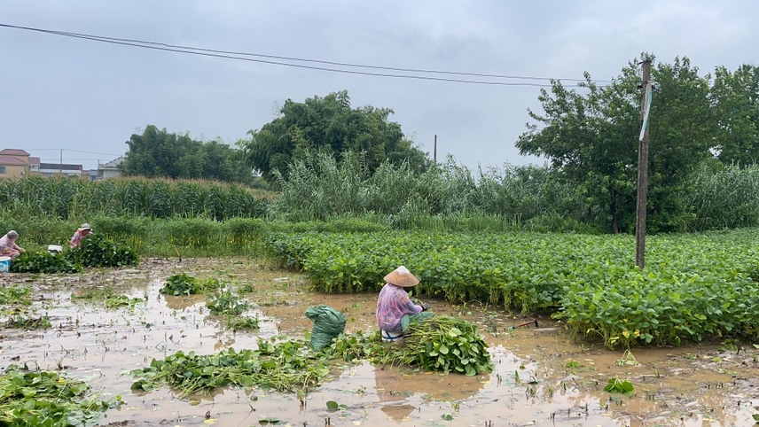 毛豆煮制过程中的状态图
