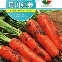 丹川红参红胡萝卜种子