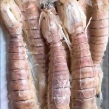皮皮虾，长期加工生产大小包装