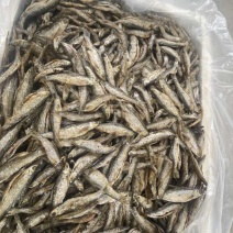 油炸白肖蓝刀