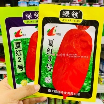 绿领夏红2号萝卜种子夏红3号萝卜种子红皮萝卜种籽耐热早熟