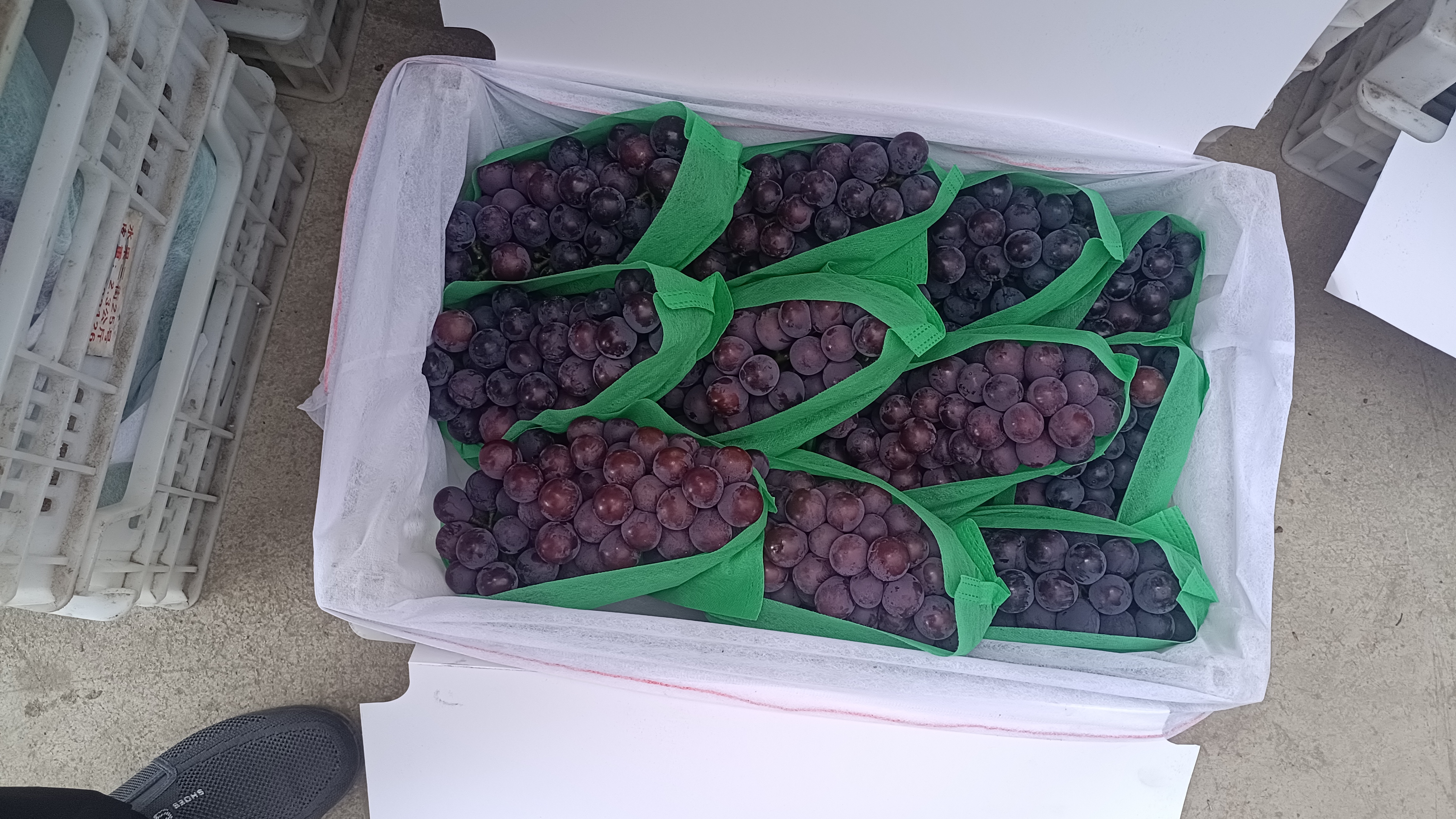 超市货架上摆放着多种品牌的无核巨峰葡萄礼盒,采用透明塑料盒+外纸箱包装,标签标注‘无籽巨峰’‘精品水果’‘净重500g’等信息,旁边配有价格牌和促销海报,展示其商业化销售形态 无核巨峰零售包装展示