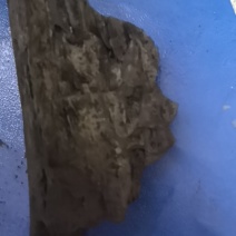 果木炭
