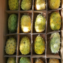 火参果