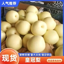 【皇冠梨】河北赵县皇冠梨产地规模大货源充足支持看货