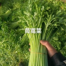 茼蒿