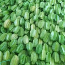 杨桃