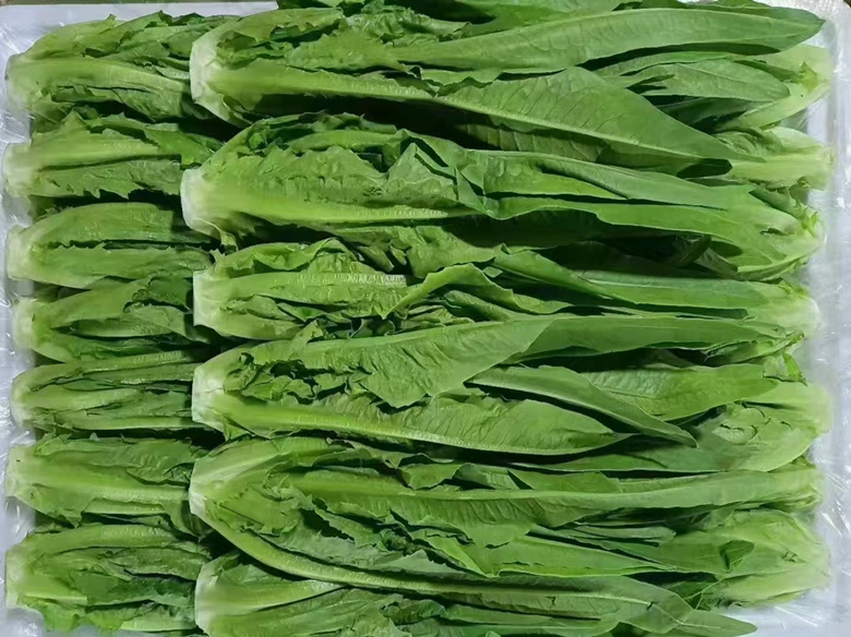 油麦菜炒鸡蛋成品图
