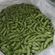 毛豆熟毛豆精品毛豆源头厂家批发质量杠杠的
