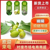 福建闽清24年橄榄，口感特雅，回甘甜。大量供应，价格优惠
