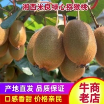 湘西米良绿心猕猴桃大量供应、现摘现发、可对接任何渠道
