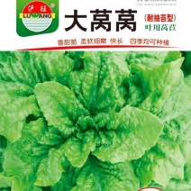 莴笋种子大莴莴叶用莴笋耐抽苔香甜脆柔软可口四季可种
