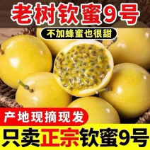 云南钦密9号黄金百香果，对接各大电商平台，支持一件代发