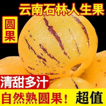 云南人参果，对接给发电商平台，全国一件代发