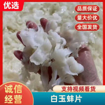 福建优质水产白玉蚌片味道鲜美量大价格优惠欢迎合作