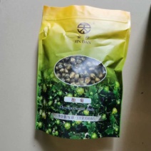 广东精品胎菊，品质号，量大可谈，欢迎前来咨询