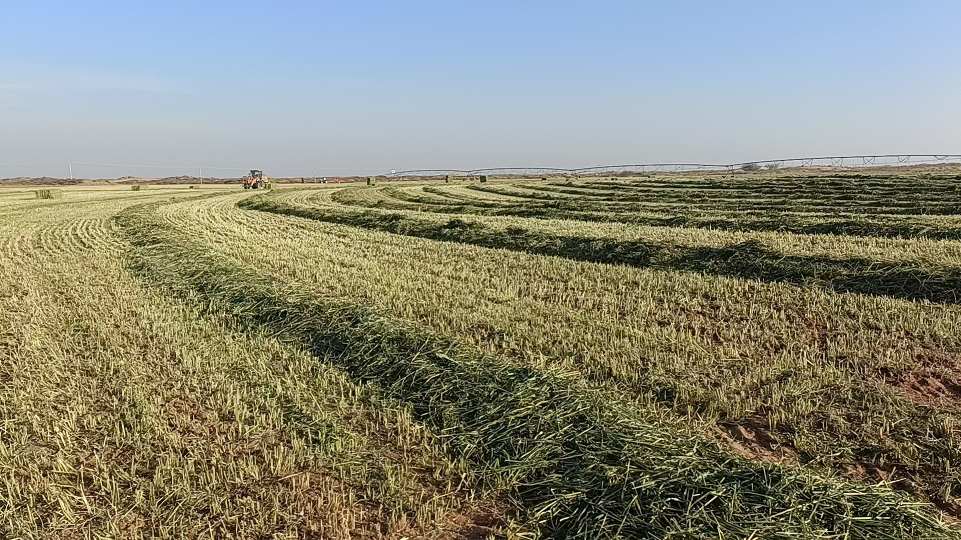 机械除草示意图