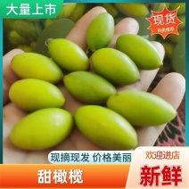 福建.闽清梅香二号青橄榄，基地直供、支持电商一件代发