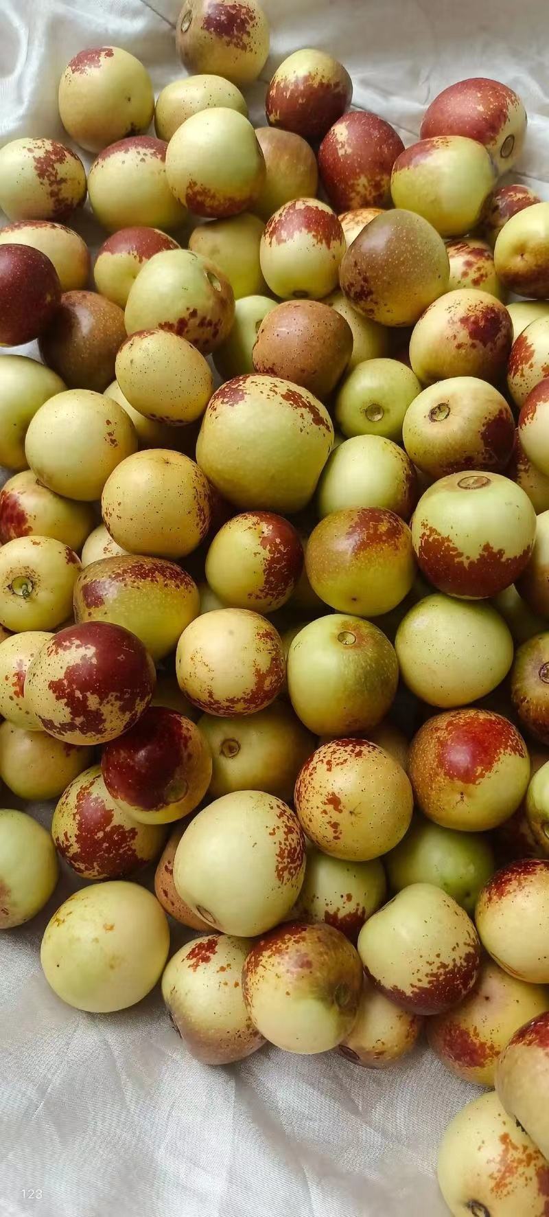 山东滨州沾化区鲜枣 0.60元/斤优选冬枣,鲜枣,产