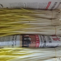 精品蒜黄上市