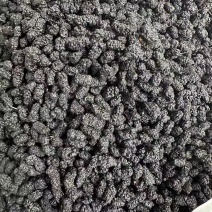 桑椹干产地直发质量保证无沙免洗泡水泡酒批发零售包邮
