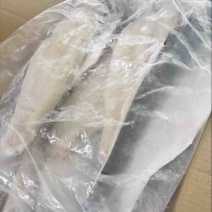 纯干带皮巴沙鱼