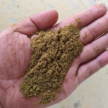过油孜然碎辅料孜然粉辅料孜然