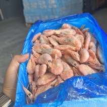 北极熊小盒装甜虾90-120规格中秋礼盒专用款可代发批发