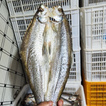 风干翘嘴