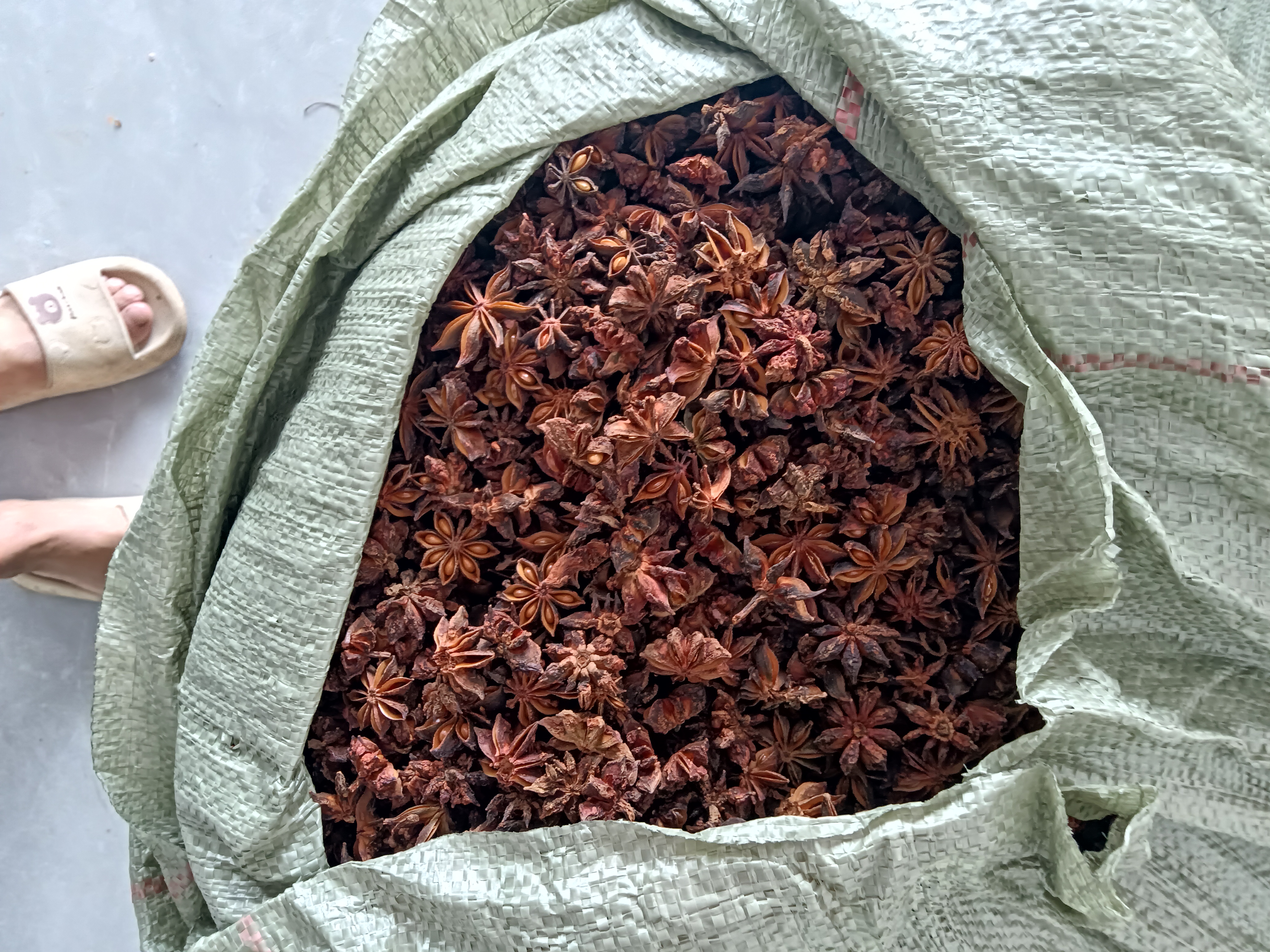 八角真假对比实物图