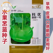 水果苤蓝种子靓甜一号青苤兰种子春秋两季早熟脆甜苤兰种籽