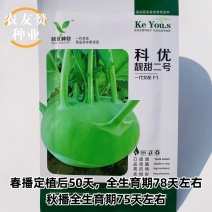 一代杂交水果苤兰种子早熟脆甜青苤蓝种子春秋两季皮薄糖度高
