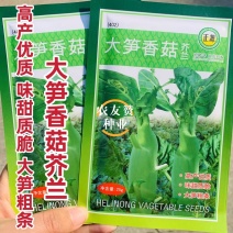 杂交芥蓝种子大笋香菇芥兰种子绿色又营养品质甜脆粗条芥蓝菜