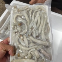 去内脏沙虫肉15元/袋