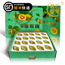 蒲江红心猕猴桃精品套袋果一手货源对接市场商超电商团购