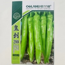 欧兰德皇剑288辣椒种子大果黄绿皮羊角牛角椒辣椒种子早熟