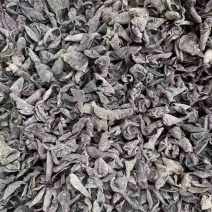 木耳地摊电商批发东北黑木耳木耳干干木耳鼠耳