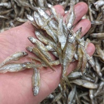 鱼干干鱼地摊电商小白肖鱼干小小油炸鱼干河鱼干