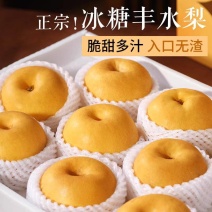 山东烟台丰水梨一件代发9斤对接全渠道电商高仿秋月梨非秋月