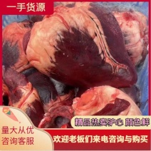 驴心马心货源充足全程冷链运输可快递欢迎来电咨询