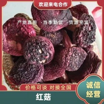 红菇，云南产地，纯野生菌干货，一件代发，批发，全国包邮！