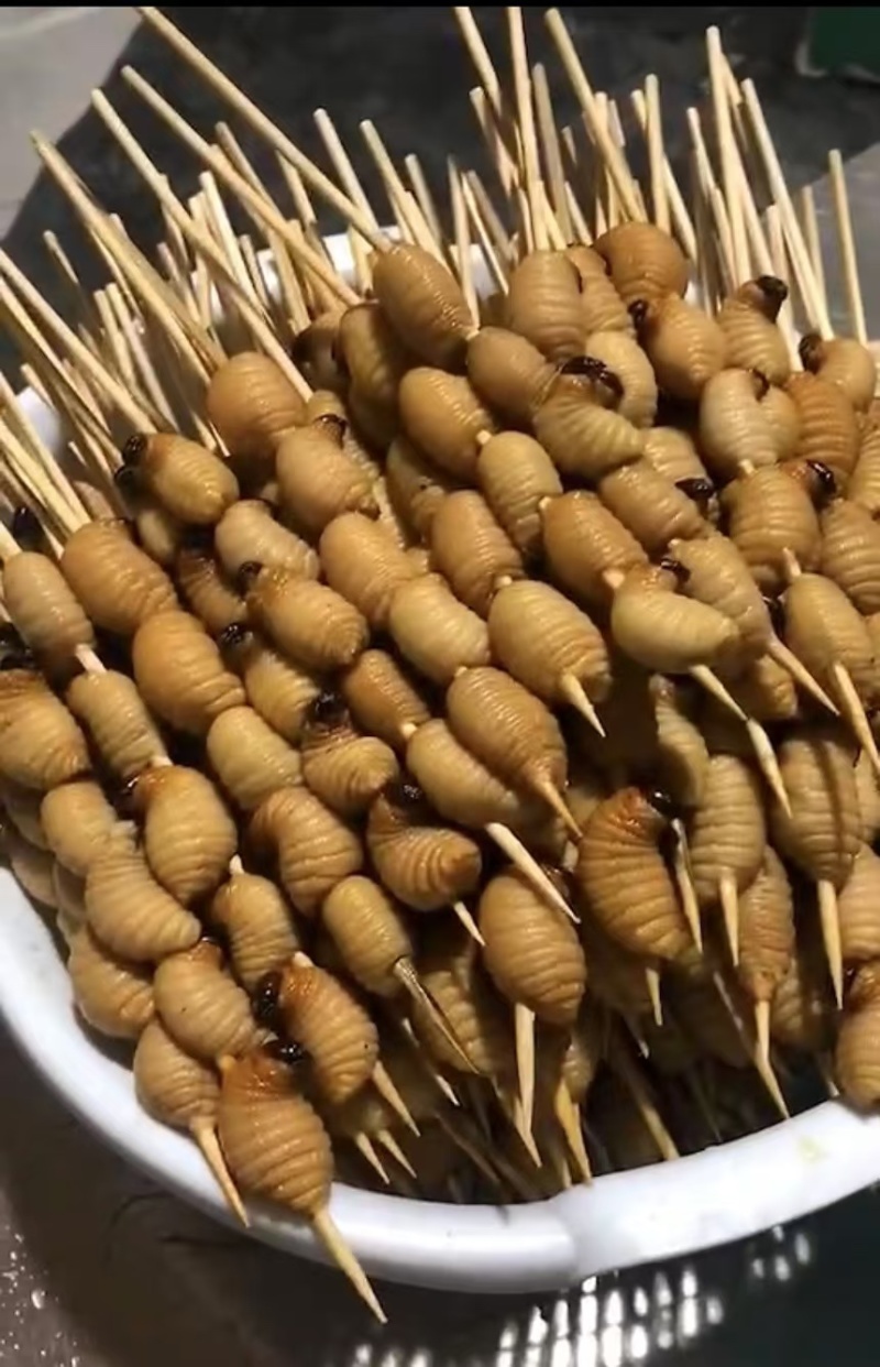 冰冻竹笋虫活虫速冻新鲜可食用虫子油炸虫炸昆虫