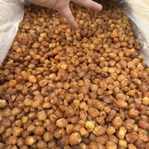 高州储良桂圆肉新货2025年