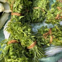 云南水蕨菜，依然是主角。
