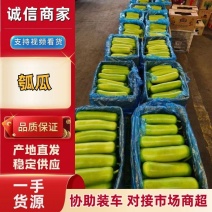 推荐瓠子瓠瓜精品，一手货源现货量大可供海底捞大型餐饮商超