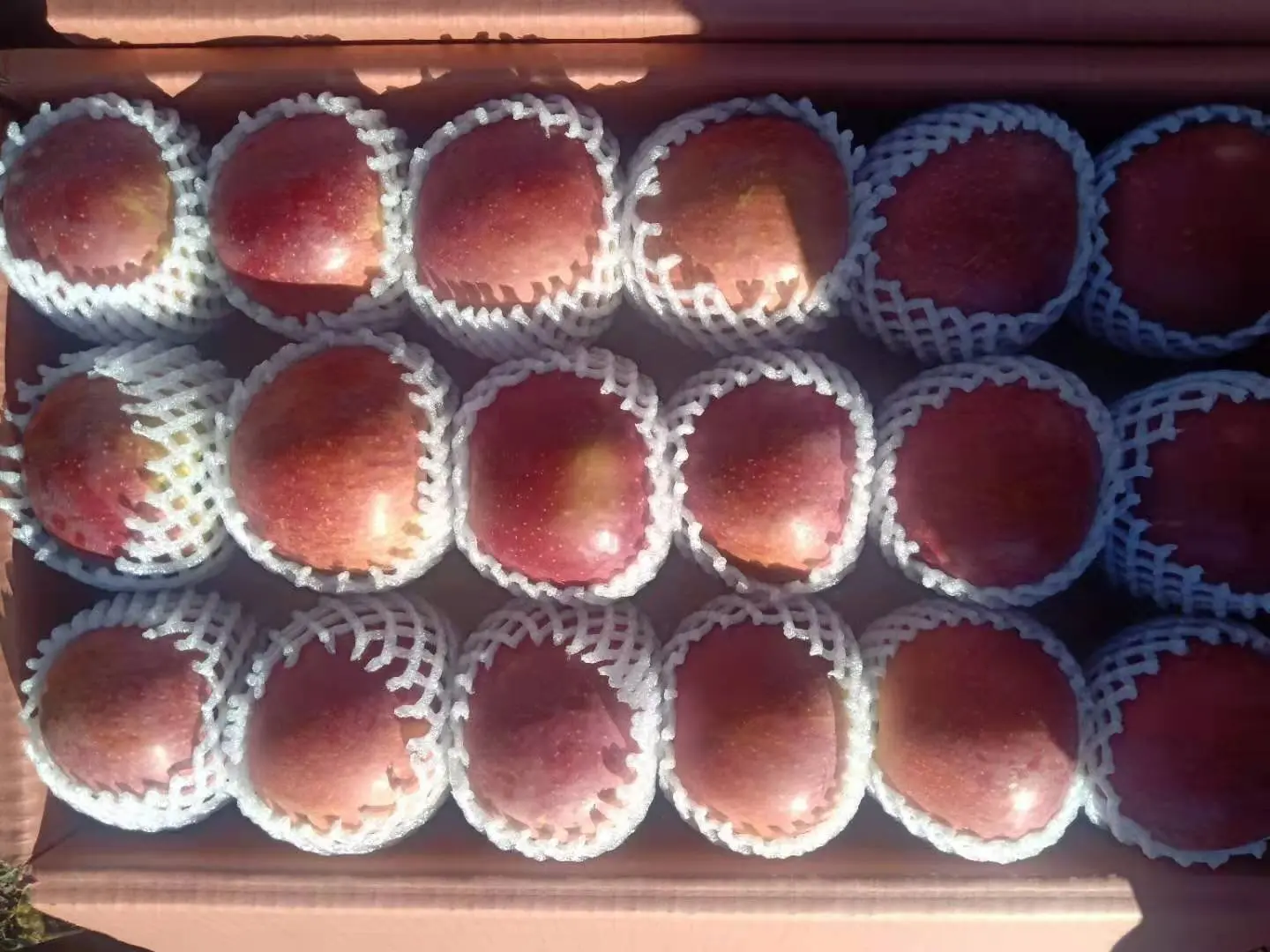 红将军苹果采摘与分级流水线