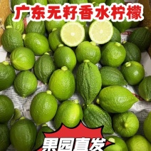 香水柠檬无籽柠檬一级果广东香水柠檬一手货源
